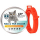  38CM For Red Cat