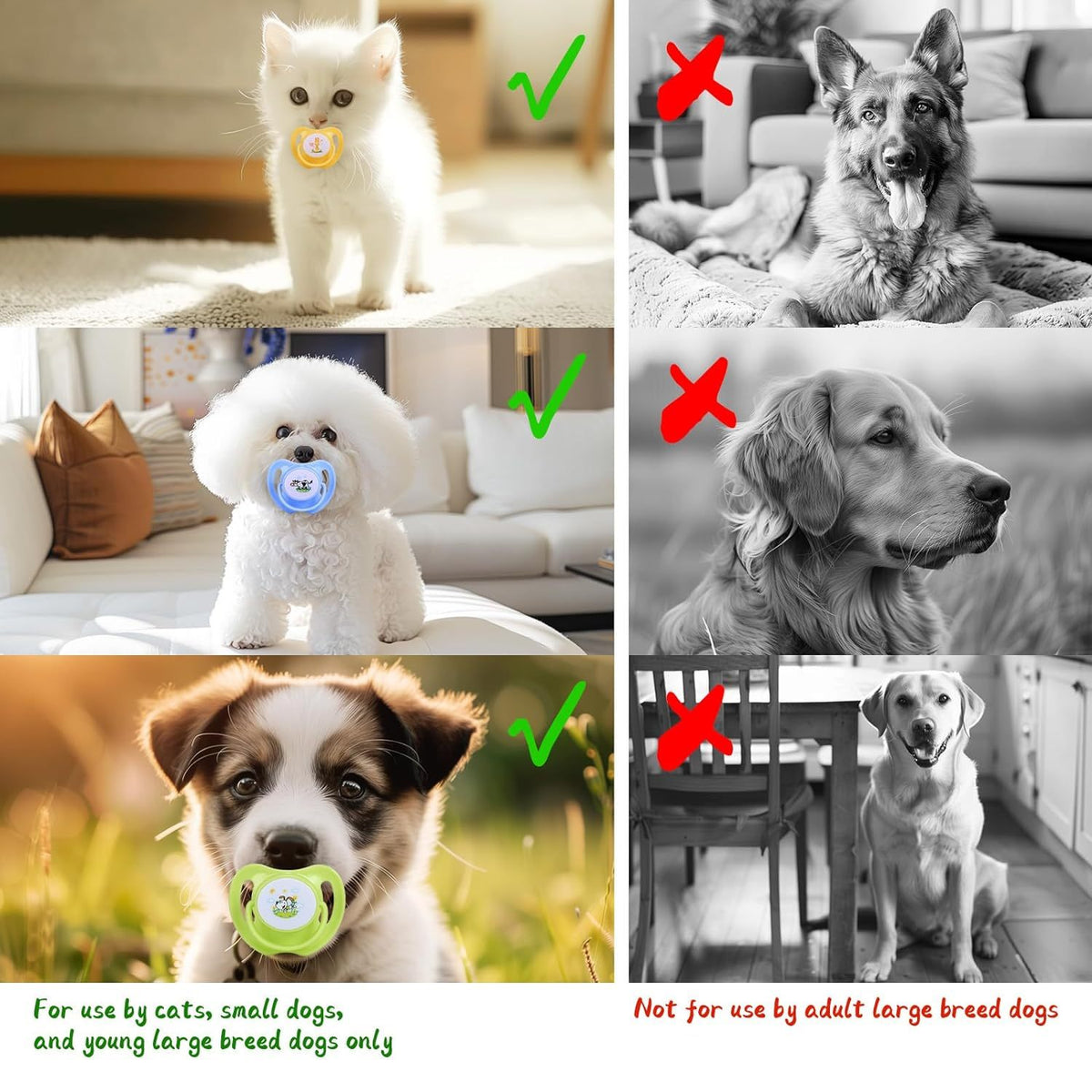 Dog Pacifiers For Small Dogs  Kitten Pacifiers Puppy Teething Toys And Cat Chew Toys  Essential Pet Supplies Puppy Essentials And Kitten Supplies