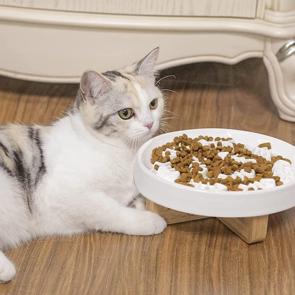 Ceramic Pet Feeder, Slow Feed Cat Bowls For Healthy Eating For Cats And Small Dogs