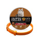  Cat Orange