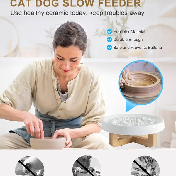 Ceramic Pet Feeder, Slow Feed Cat Bowls For Healthy Eating For Cats And Small Dogs