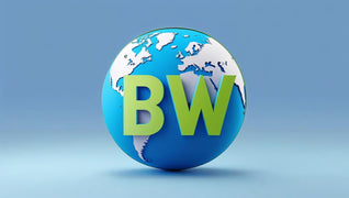 Bargain World