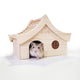 Paradise Rat Palace