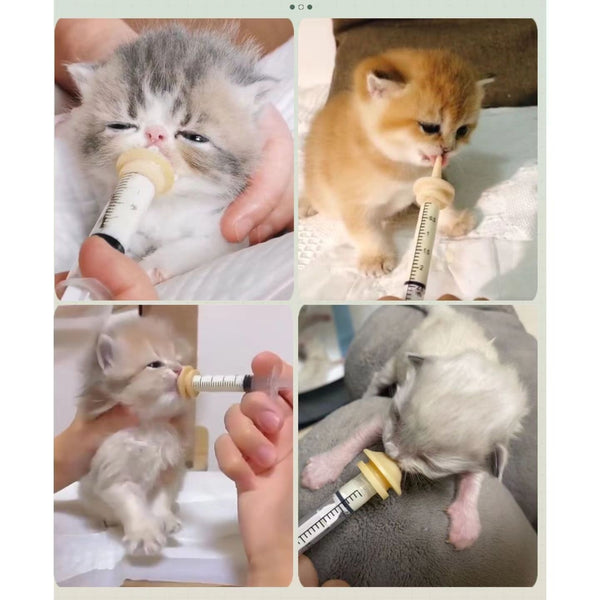 Kitten And Puppy Feeding Device, Pet Needle Feeding Device