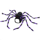  Black And Purple