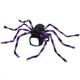  Black And Purple